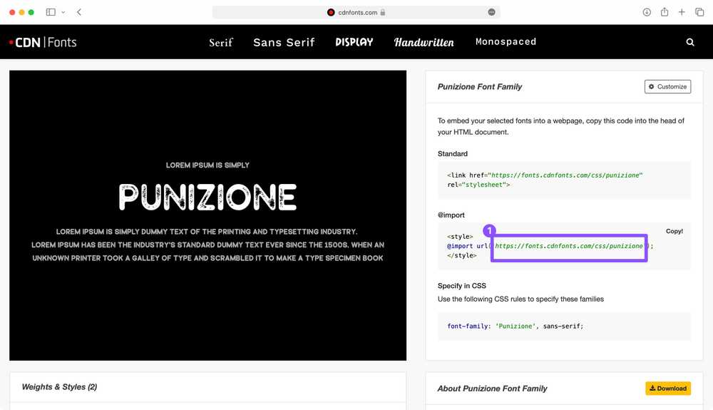 CSS URL from cdnfonts.com